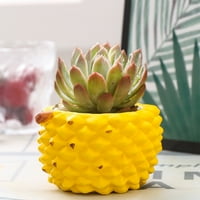 Mesnata lubenica sa cvijećem od udela keramičke durijske voćne kreativne banane gruba keramika Jednostavna