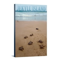 Jekyll Island, Gruzija, morske kornjače