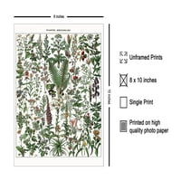 Vintage Adolphe Millot Poster - Retro Crtanje štampa - Poklon za liječnika, vrtlar - ljekovite biljke,