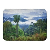Zelena šuma prašuma Ekvador Latin Amerika Jungle Wildlife Mountain Doormat Podna rug rug 23.6x