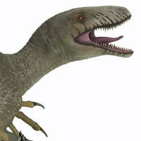 Dakotaraptor Dinosaur glava. Poster Print Corey Ford Stocktrek Images