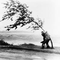 Dvije jahte očajnički obješe se na drvo koje je gotovo izduvalo uragana Carol na plaži Wollaston u povijesti