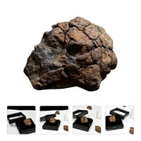 Kreativni litosideritni uzorak nepravilnog meteorita nauka za nastavu materijala