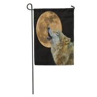 Howl Wolf zavija na mjesecu Arktički lijepi pas Canive Carnivore Garden zastava ukrasna zastava kuće