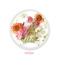 Yinguo 3D prekrasan cvijet miješani sušeni cvijeće za noktno umjetnosti DIY boca savjeti za manikir