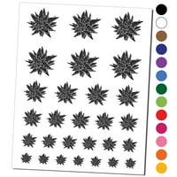 Haworthia Limifolia Var Striata sočna biljna vodootporna privremena tetovaža Set lažne umjetničke kolekcije - crna
