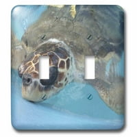 3droza ispod vodene kornjače - dvostruki preklopni prekidač