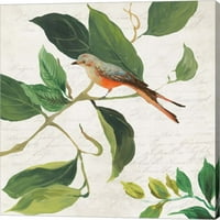 Pjevanje ptica I od Azije Jensen, platno Zidna umjetnost