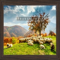 Transilvanija, Rumunija - jato ovaca na padini na padu - planine sa jesenskim bojama - lampionska preša