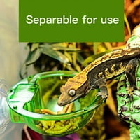 Nuolin Planet ARBOREAL Reptilni hranilac vodene ulagač za uvlačenje ulagač za trepavice GECKO Chameleon