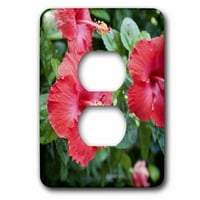 Crveni hibiskusni cvijet - NA DPB - Douglas Peebles utikač Outlet Cover LSP-83396-6