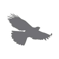 Eagle naljepnica naljepnica Die Cut - samoljepljivi vinil - Vremenska zaštitna - izrađena u SAD - Mnogo