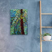 Epic Art 'Pine Sprites' Mandy Budan, akrilna staklena zida Art, 16 x24