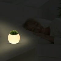 Daljinski LED svjetlosni creativni kreativni unutarnji fleksud svjetlo LED lonca