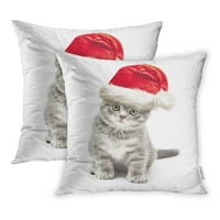 Siva mačka mače u Santa Claus Xmas Red Hat na božićnim jastucima Kućica