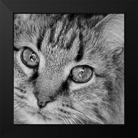 Burkhart, Monika crna Moderna uokvirena muzej Art Print pod nazivom - Cat Eyes Bandw i