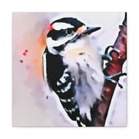 Downy Woodpecker Dream - Platno