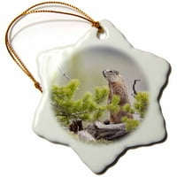 3droze Žuti trbuh Marmot Bird, Yellowstone NP, Montana - US Aje - Adam Jones - Snowflake Ornament