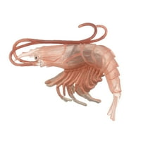 Model za rezanje, visoki simulacijski škampi Squid ocean za životinje Model figurice Dekor dekora Dječja