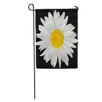 Yellow Daisy Clowmil Clipping Clipping staza crne kamomile Bijela Oxeye Garden Zastava Dekorativna zastava