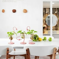 Postrojenja za diplomiranje biljaka Desktop Vanjska terarina, Flamingo Plants Glass Vase za hidroponičke